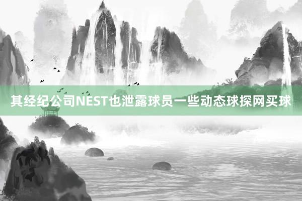 其经纪公司NEST也泄露球员一些动态球探网买球