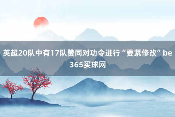 英超20队中有17队赞同对功令进行“要紧修改”be365买球网