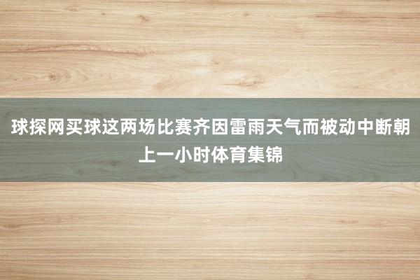 球探网买球这两场比赛齐因雷雨天气而被动中断朝上一小时体育集锦