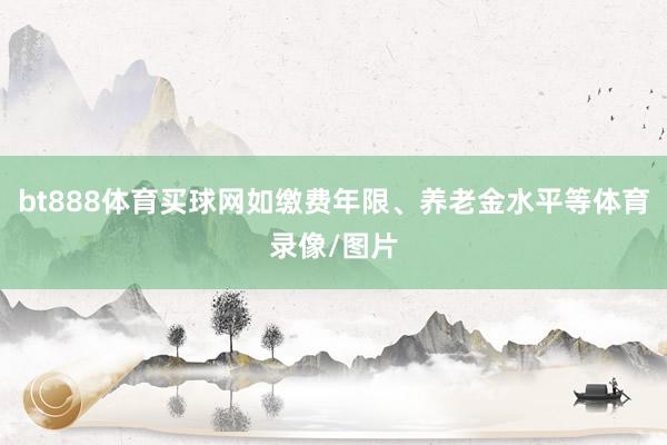 bt888体育买球网如缴费年限、养老金水平等体育录像/图片