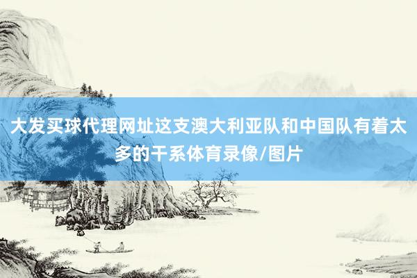 大发买球代理网址这支澳大利亚队和中国队有着太多的干系体育录像/图片