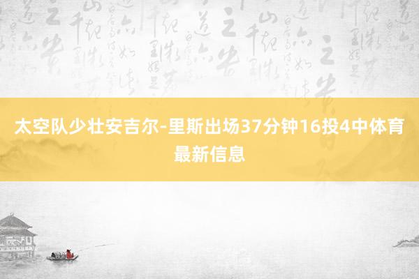 太空队少壮安吉尔-里斯出场37分钟16投4中体育最新信息