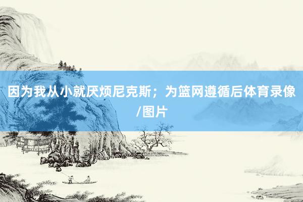 因为我从小就厌烦尼克斯；为篮网遵循后体育录像/图片