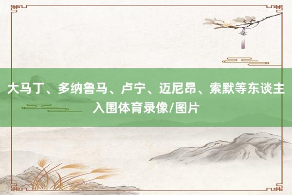 大马丁、多纳鲁马、卢宁、迈尼昂、索默等东谈主入围体育录像/图片