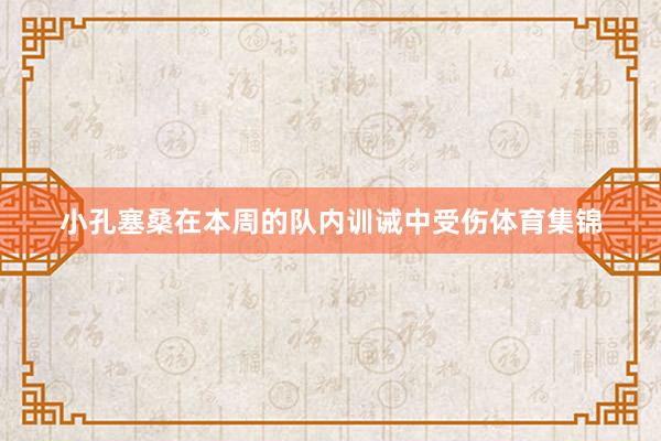 小孔塞桑在本周的队内训诫中受伤体育集锦