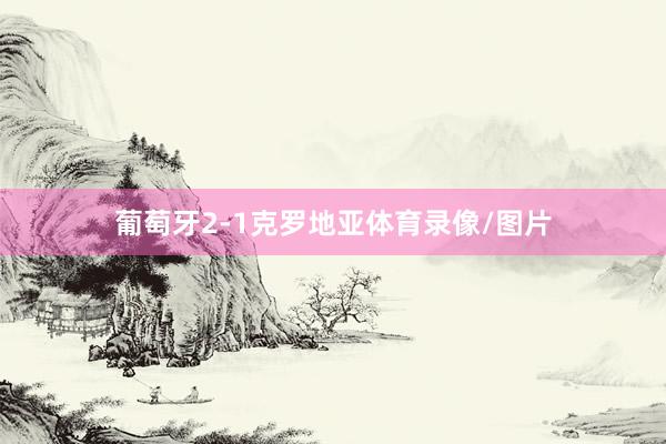 葡萄牙2-1克罗地亚体育录像/图片