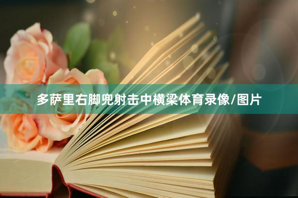 多萨里右脚兜射击中横梁体育录像/图片