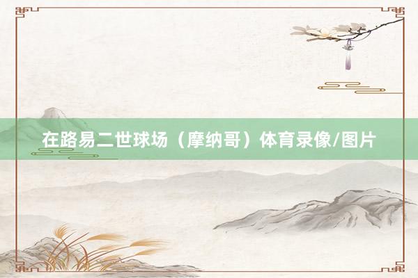 在路易二世球场（摩纳哥）体育录像/图片