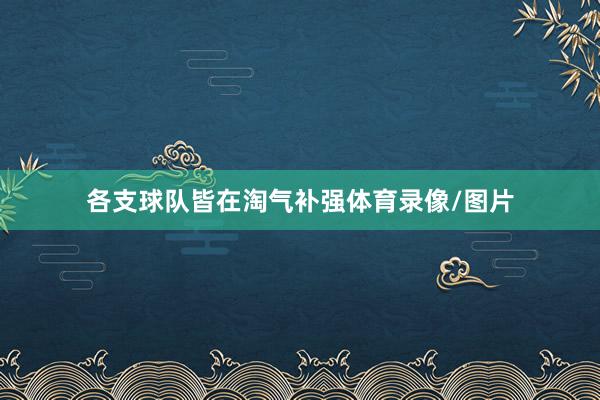 各支球队皆在淘气补强体育录像/图片
