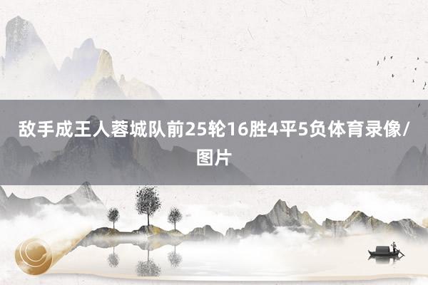 敌手成王人蓉城队前25轮16胜4平5负体育录像/图片