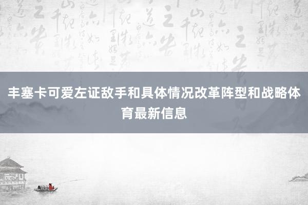 丰塞卡可爱左证敌手和具体情况改革阵型和战略体育最新信息