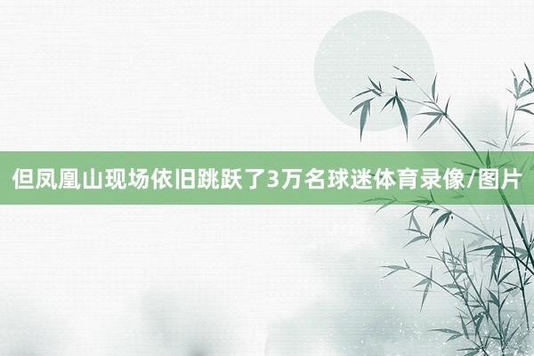 但凤凰山现场依旧跳跃了3万名球迷体育录像/图片