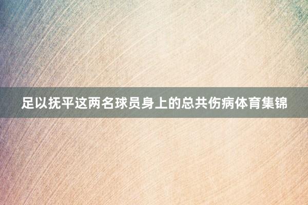 足以抚平这两名球员身上的总共伤病体育集锦