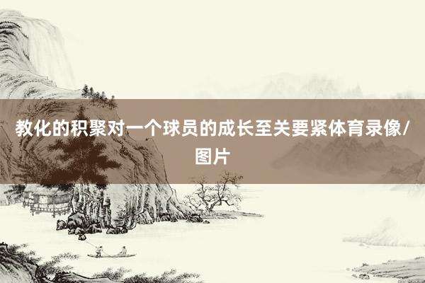 教化的积聚对一个球员的成长至关要紧体育录像/图片