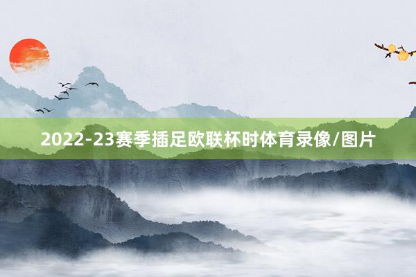 2022-23赛季插足欧联杯时体育录像/图片
