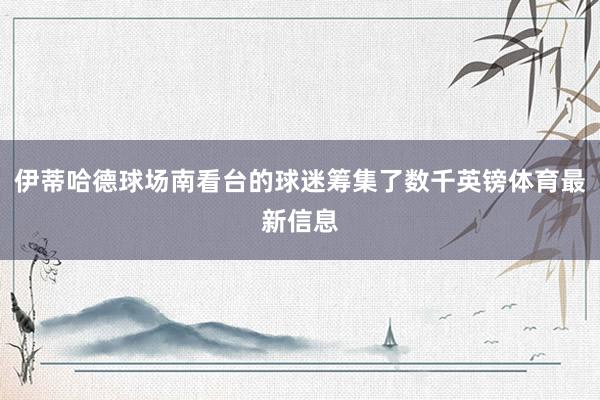 伊蒂哈德球场南看台的球迷筹集了数千英镑体育最新信息
