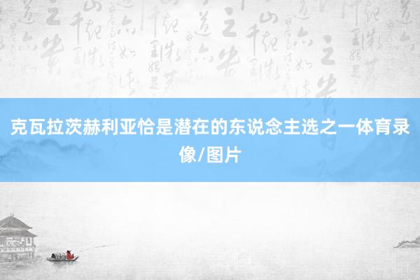 克瓦拉茨赫利亚恰是潜在的东说念主选之一体育录像/图片