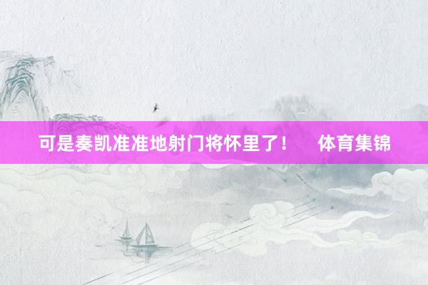 可是奏凯准准地射门将怀里了！    体育集锦