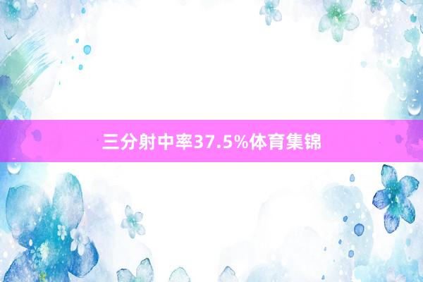 三分射中率37.5%体育集锦