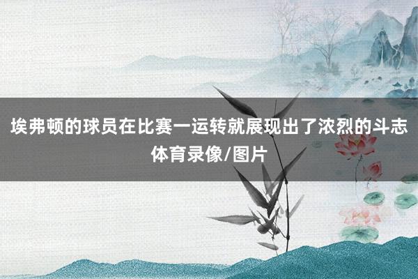埃弗顿的球员在比赛一运转就展现出了浓烈的斗志体育录像/图片