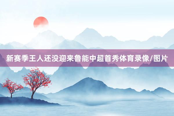 新赛季王人还没迎来鲁能中超首秀体育录像/图片