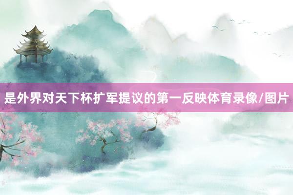 是外界对天下杯扩军提议的第一反映体育录像/图片