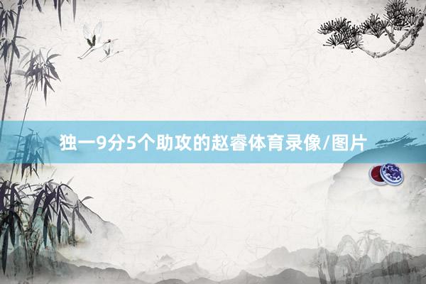 独一9分5个助攻的赵睿体育录像/图片